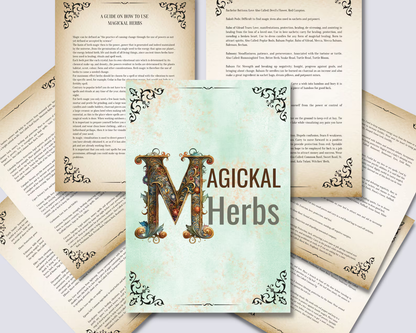 Magickal Herbs: The Herbarium Encyclopedia