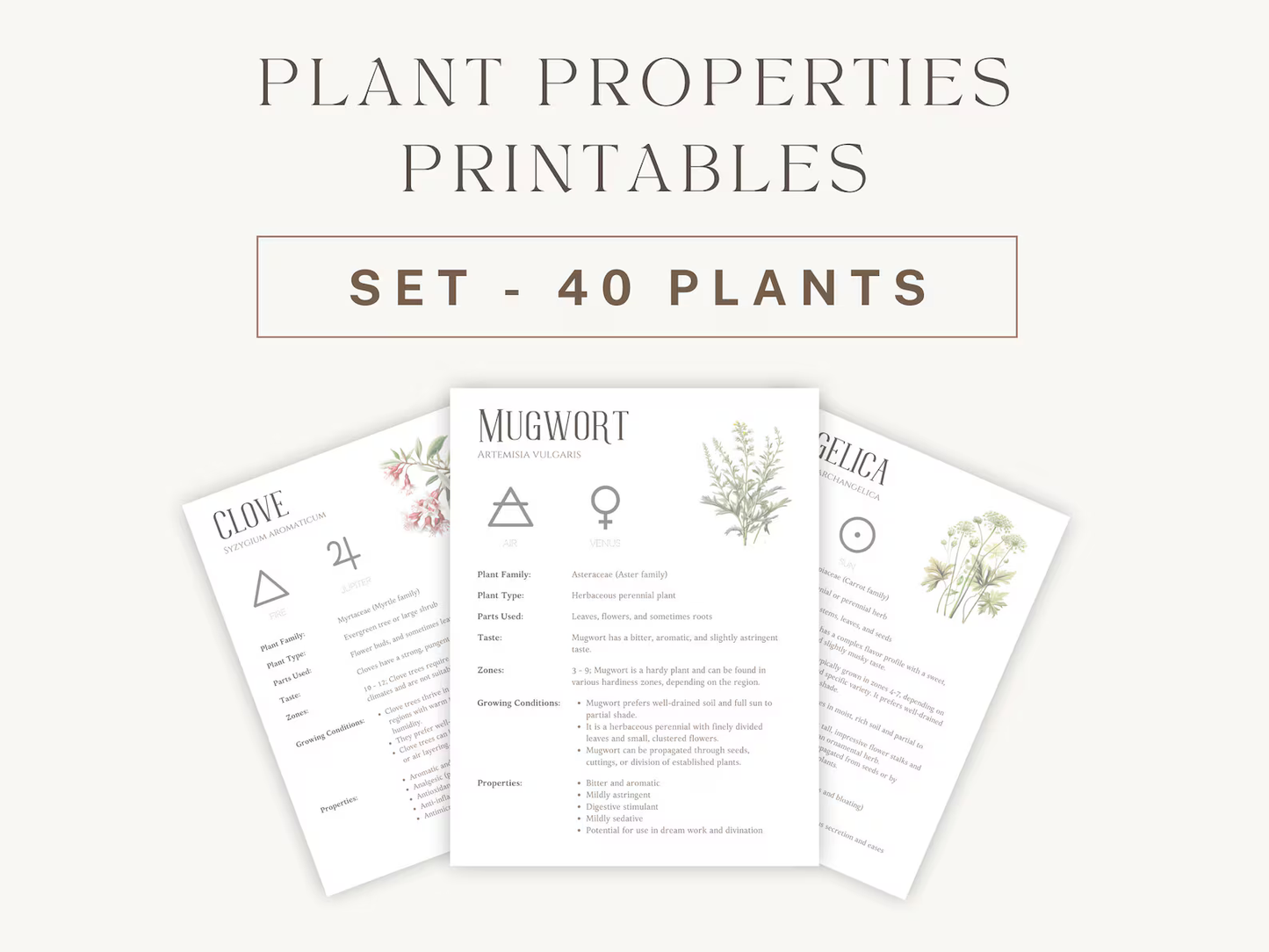 Herbal Wellness Collection: 40 Printable Guides